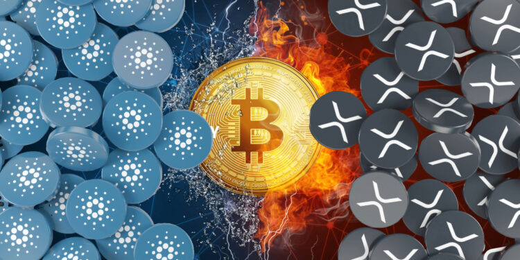 XRP, ADA Rank as Top Weekly Gainers; Here’s Why
