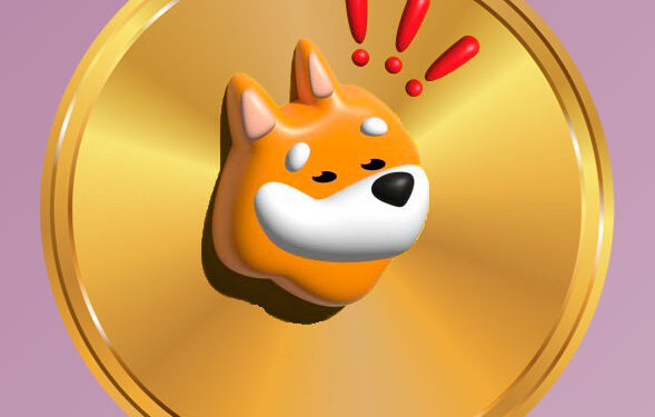 Is BONK Rally In Jeopardy? Technical Indicators Confirm Weakness