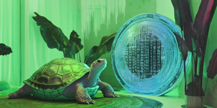 This Solana Rival Is Looking Great Amid Bitcoin Pullback, Says Top Crypto Analyst