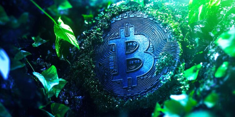 Texas Judge Tosses SEC’s Controversial ‘Dealer Rule’ After Lawsuit From Crypto Groups