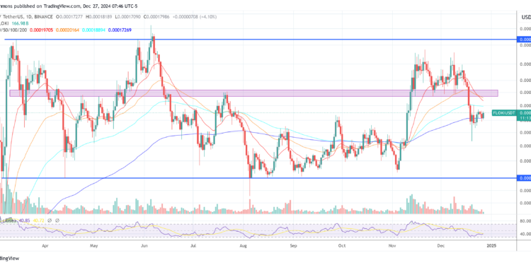 FLOKI To Follow Dogecoin In Memecoin ETP Ranks After DAO Nod