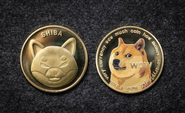 Shiba Inu Falls Below $0.00002631 As Bears Dominate The Market, Time To Buy?