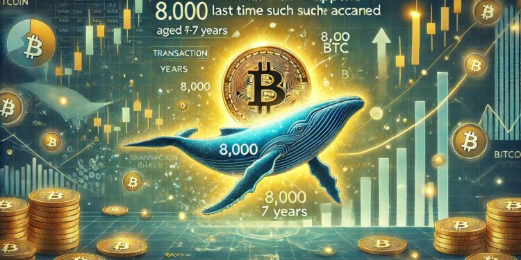 Bitcoin Whale Moves 8,000 BTC Aged 5-7 Years – What Happened Last Time