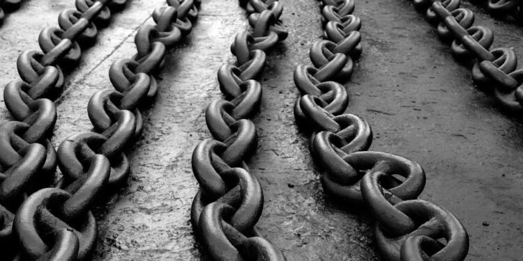 Whale Activity Sparks Chainlink Rally, $52 Target On Radar