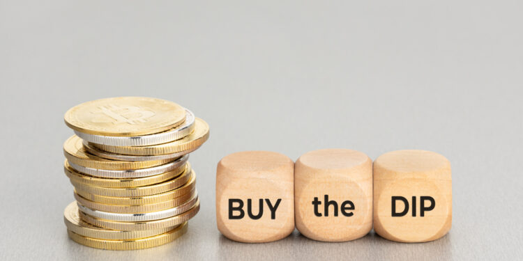 Analyst Reveals if It’s a Good Time to Buy the Dip, As Bitcoin Briefly Falls Below $90k