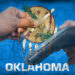 Oklahoma Legislation Proposed to Enable Bitcoin Salaries and Vendor Payments