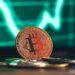 Analyst Reveal Bitcoin Key Support Levels Amidst Rebound Challenge