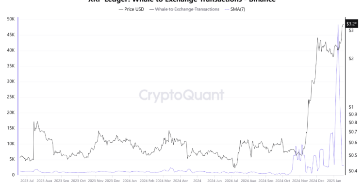 XRP Whale Binance Deposits Skyrocket: Key Holders Preparing For Profit-Taking?