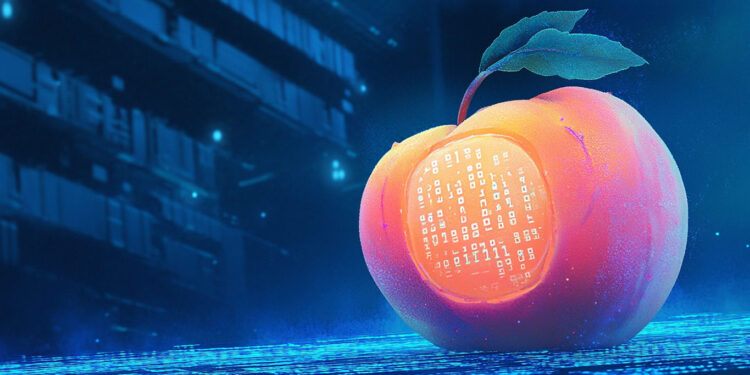 Crypto Analyst Michaël van de Poppe Says Solana Rival ‘Looking Juicy,’ Updates Outlook on XRP and Chainlink