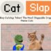 Catslap Meme Coin to Unveil $100K Leaderboard on January 14