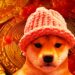 ‘Nice Signs of Life’ Starting To Form on Solana-Based Memecoin dogwifhat, Says Trader – But There’s a Catch