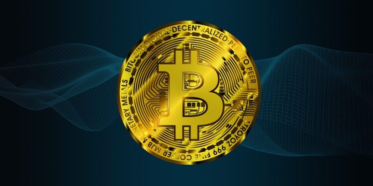 Top 5 Cryptos to Invest in as Whales Accumulate Bitcoin After Trump Inauguration