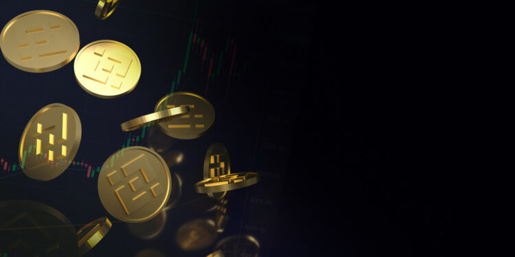 BNB Flips Solana Amid 2025 Roadmap Reveal