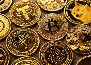 Altseason Cancelled? CryptoQuant CEO Says Most “Won’t Make It”