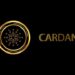 Cardano Price Breaks Down From Ascending Channel, Here Are Two Ways It Could Go