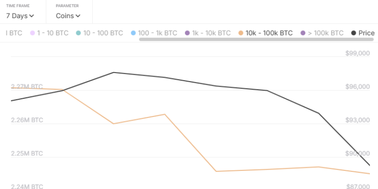 Bitcoin Mega Whales The Primary Sellers During Price Crash, Analytics Firm Reveals