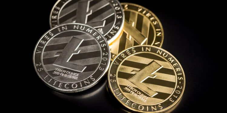 Will Litecoin Bounce Back? $113 Becomes Key After Recent Rejection