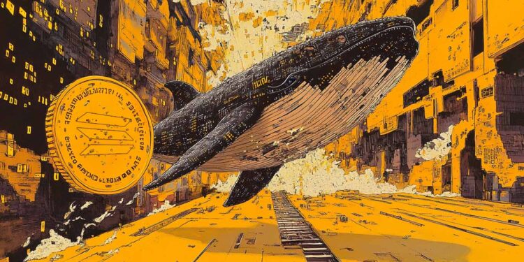 Mysterious Whale Withdraws $5,000,000 in Solana From Coinbase, Potentially To Accumulate AI Coins: Lookonchain