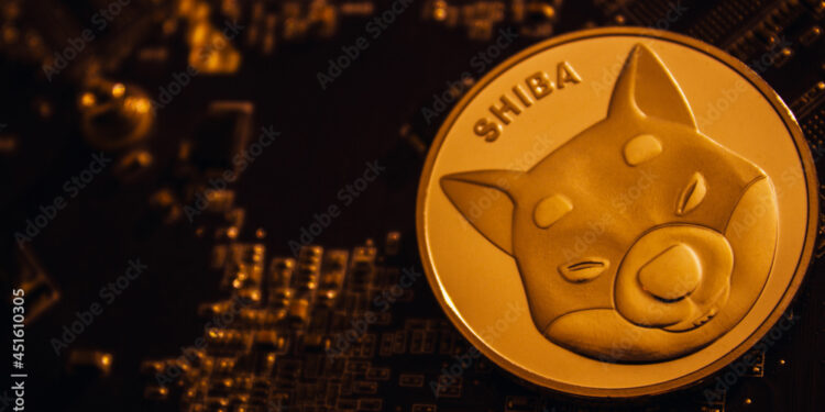 Shiba Inu Millionaire Numbers Fall Below 1,000 After Market Crash, How Much Do They Control?
