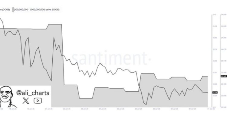 Dogecoin Whales Go Ham As They Buy 560M DOGE In One Week