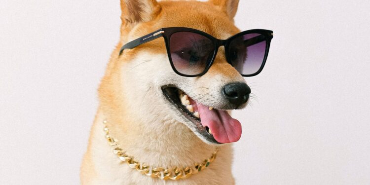 Dogecoin To $1.35? Analyst Predicts Milestone ‘Within 70 Days’