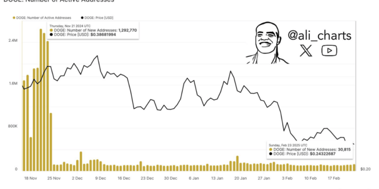 Dogecoin Sees 95% Drop in Network Activity—Trouble Ahead?