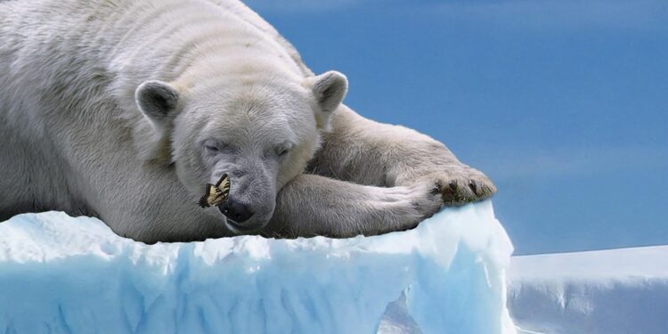 Bitcoin Bearish Case Emerges. Is A Dump To $73,000 Coming?