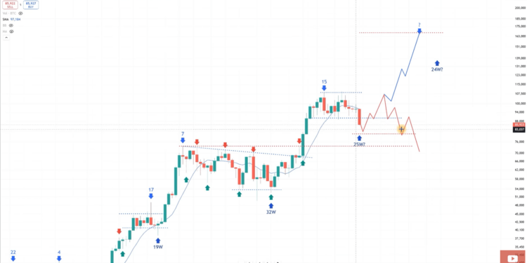 Bitcoin Crashes, Fear Spikes—But Analyst Sees $153,000 Ahead