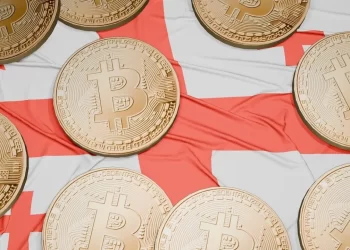 Aide to Former Georgian PM Flees Country Amid Bitcoin Embezzlement Case