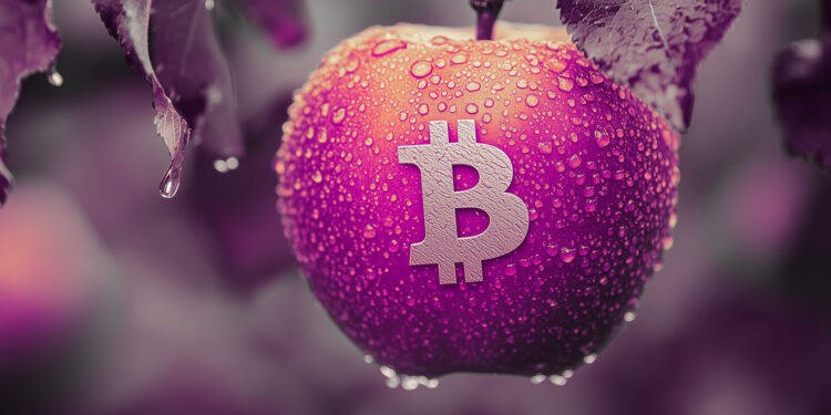 Analyst Predicts New All-Time High Rallies for Bitcoin, Says BTC Now in Stage Two of Bull Market