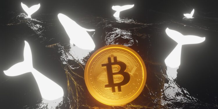 Saylor’s MSTR Buys 6,556 More Bitcoin as US ETFs Return to Inflows