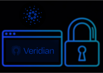 A New Open-Sourced Digital Identity Platform