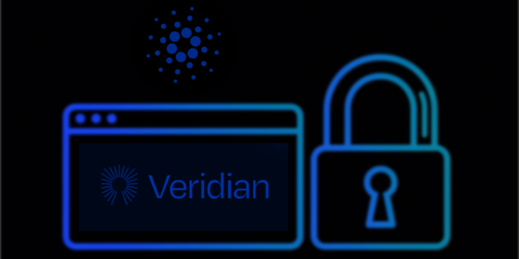 A New Open-Sourced Digital Identity Platform