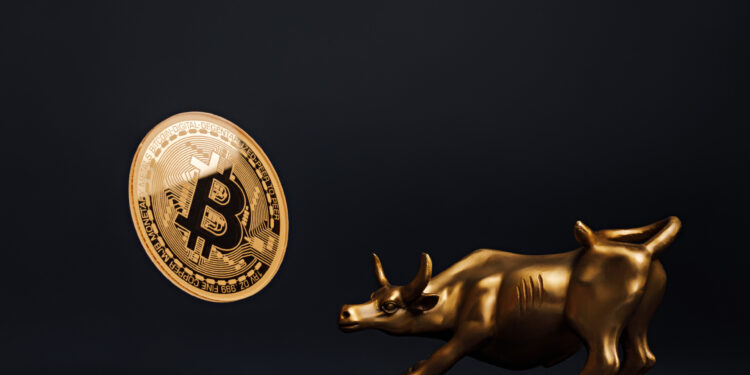 Messari CEO Says Bull Market Hasn’t Started yet, Predicts Q3/Q4 for Take-off