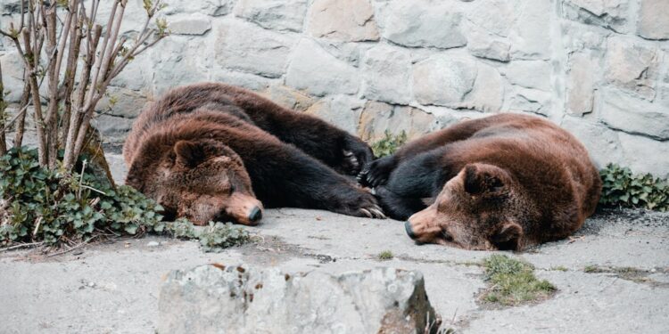 Expert Analyst Warns BITCOIN/VIX Is Not Bullish, These Are Bear Market Signals