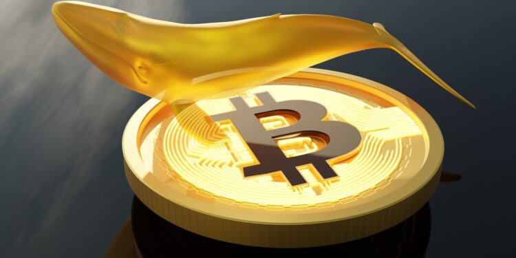 Trader Swaps $1.2B BTC Long for $1B Short—Takes $17.5M Hit on Hyperliquid