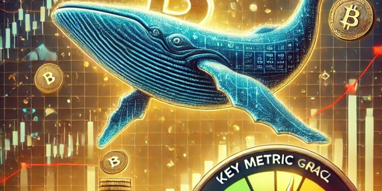Are Bitcoin Whales About to Cash Out? Key Metric Signals Possible Profit-Taking Ahead
