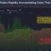 Bitcoin Sharks & Whales Continue To Accumulate: Stage Set For New All-Time High?