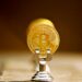 Bitcoin Shows Elevated Unrealized Profits Without Signs Of Panic Selling