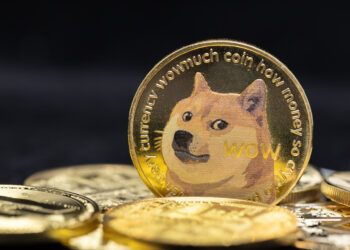 Musk’s Trump Apology Sends Dogecoin Soaring Before Modest Pullback