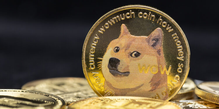 Musk’s Trump Apology Sends Dogecoin Soaring Before Modest Pullback