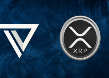 Trident Digital Tech Eyes $500M XRP Treasury as Shares Plunge Over 30%