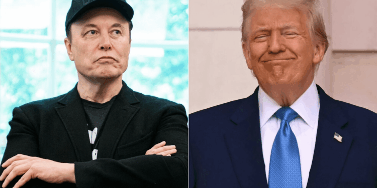 Musk Clashes With Trump—Dogecoin Is Caught In The Crossfire