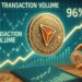 Transaction Volume Soars While Success Rate Stays Above 96%