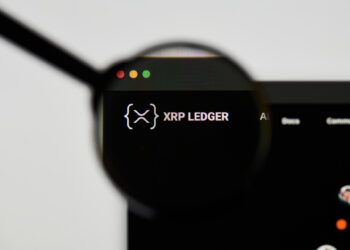 XRP a ‘Different Network’ as Retail Traders Exit and Big Players Take Over