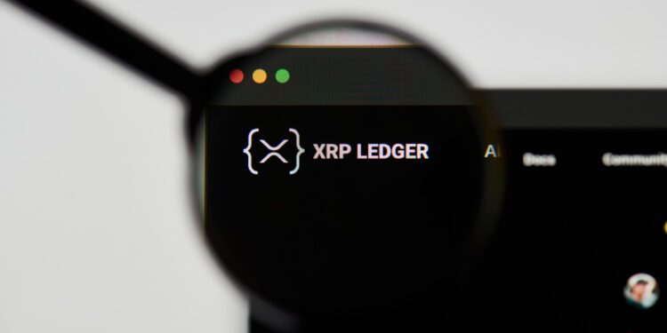 XRP a ‘Different Network’ as Retail Traders Exit and Big Players Take Over