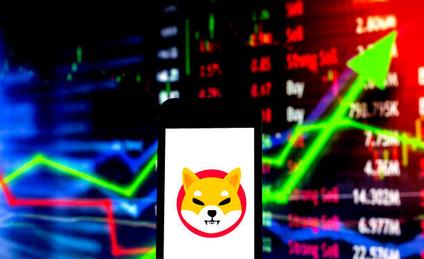 Shiba Inu Price Could See 180% Explosion As This Indicator Flashes Bullish Divergence