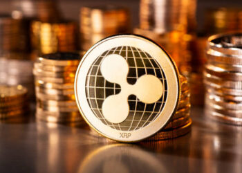 The XRP Euphoria Phase: Why August–October 2025 Could Be Explosive