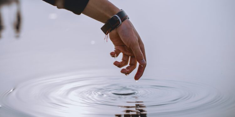 Don’t Hold Back—Expert Recommends Full Stake In XRP