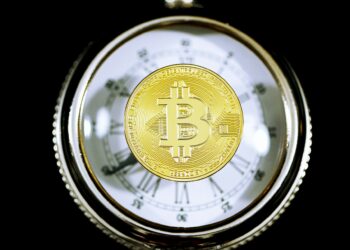Bitcoin Sees Rising New Investor Dominance, Old Holders Yet To Capitulate